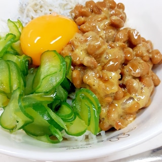 簡単ヘルシー！納豆＋キュウリ＋しらす＋黄身の丼♪